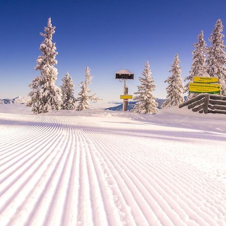 Appartement Schladming Neu Экстерьер фото